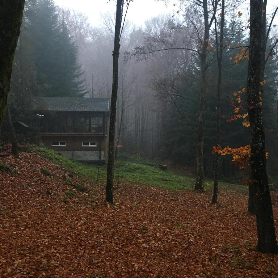 База Відпочинку Шиповець Poroshkovo Exterior photo