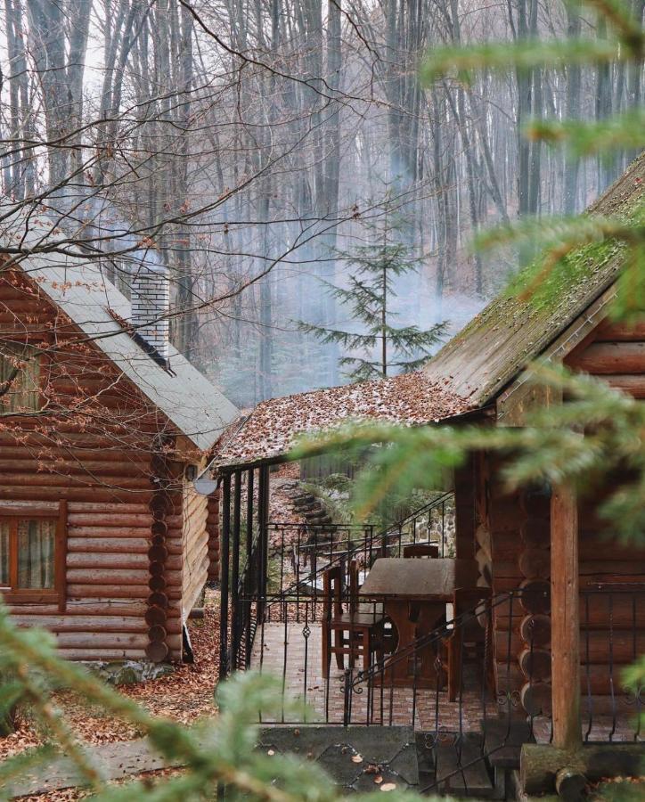 База Відпочинку Шиповець Poroshkovo Exterior photo